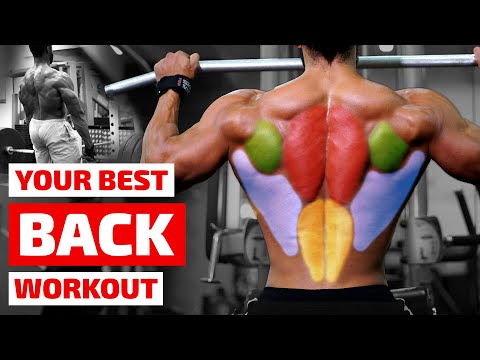 Best Back Workout for Your Goals - Experts Compare 7 Complete Back Workouts