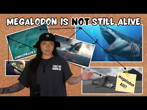 JUNKSPIRACIES: Megalodon is (NOT) still alive | Lindsay Nikole