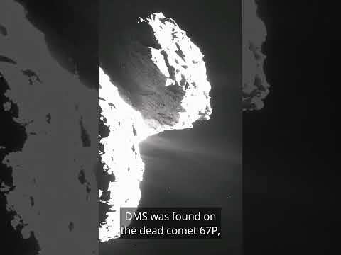 Re The Claim That JWST Just Detected Life…