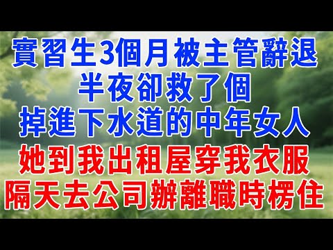 實習生3個月被主管陷害辭退，半夜卻救了個掉進下水道的中年女人，她到我出租屋洗澡穿我衣服，隔天去公司辦離職時，當場楞住！#原创视频 #生活經驗 #為人處世 #人生感悟 #故事分享 #职场 #复仇