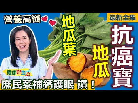 健康好生活  20230911   抗癌寶-「地瓜、地瓜葉」 庶民菜補鈣又護眼！