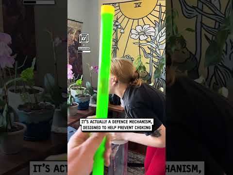 Goan tubes are man's greatest invention🤣⁠  @daleseafoam