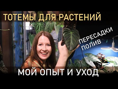 ТОТЕМЫ для растений. МОЙ УХОД