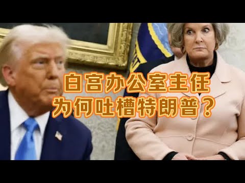 特朗普遭到“普利策奖”和白宫办公室主任的双重打击 #老鱼有话说 #特朗普 