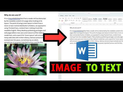 How to Copy Text from Image in Windows 11, Laptop, Word, PC (Extract Text for Free)
