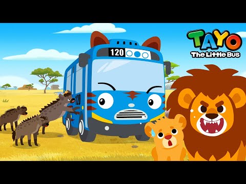 Sleepyhead Daddy Lion l Safari Bus Tayo l Learn Animals with Vehicles l Tayo English Episodes