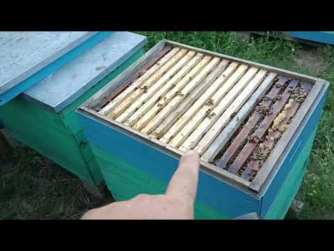 Двухматочная система, разборка улья, результат работы, выводы...