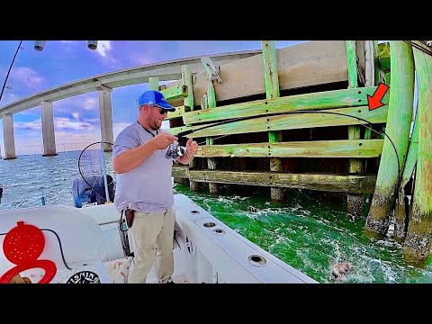 SOLO Fishing under this HUGE! BRIDGE in Alabama for my DINNER!... [Catch, Clean, Cook]
