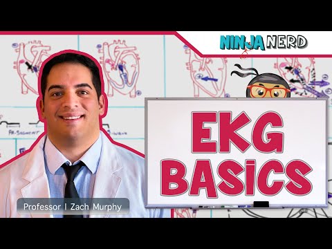 Cardiovascular | ECG Basics