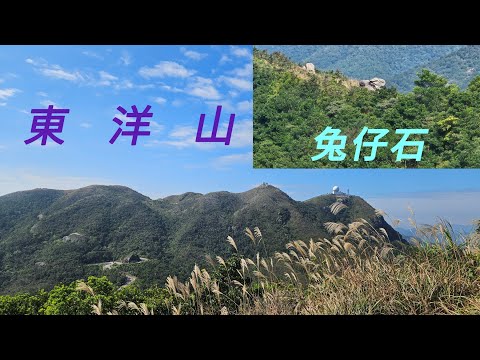睇芒草又唔想同人逼😙{東洋山}都算系唔錯嘅選擇👍[23.11.2025]