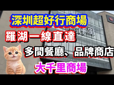  大仟里購物中心 | 深圳超好行商場 | 羅湖一線直達 | 多間餐廳、品牌商店 #深圳貝貝貓  #深圳  #深圳吃喝玩樂