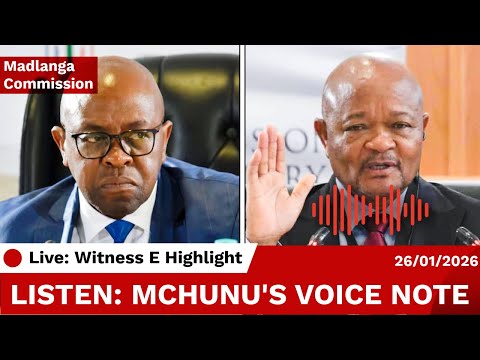 Witness E Drops EXPLOSIVE Senzo Mchunu VOICE RECORDING @ Madlanga Commission