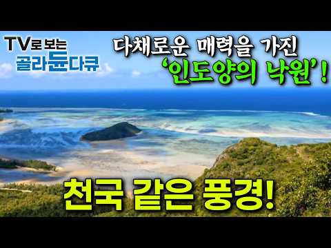 다채로운 매력을 가진 인도양의 낙원! 천국 같은 풍경!ㅣ세상에 이런 섬이! 모리셔스·레위니옹ㅣ세계테마기행ㅣTV로 보는 #골라듄다큐