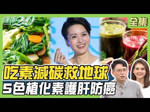 吃素減碳救地球 梁詠琪美貌秘訣！5色植化素護肝防癌 缺維生素B12恐營養失衡型失智！健康2.0 20240420【完整版】江坤俊 韋汝 陳欣湄 黃淑惠 洪素卿 吳明珠 陳之穎@tvbshealth20