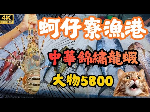 蚵仔寮種類多又新鮮，魚都亮亮翹翹的，烤整尾紅甘意外好吃，3斤中華錦繡龍蝦超高價