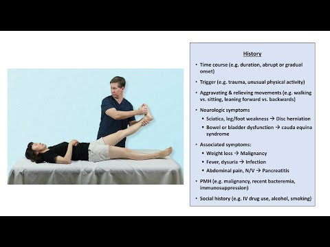 An Approach to Back Pain