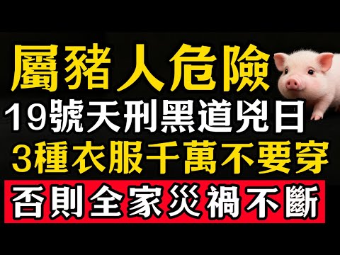 生肖豬必看！12月19號，農曆十月三十是「天刑黑道兇日」，這3個顏色的衣服千萬不要穿，否則災禍不斷，全家不得安寧！#張天師道法#屬相運勢#生肖#家運#生肖運勢的那些事#先知#風水變化#提升運勢