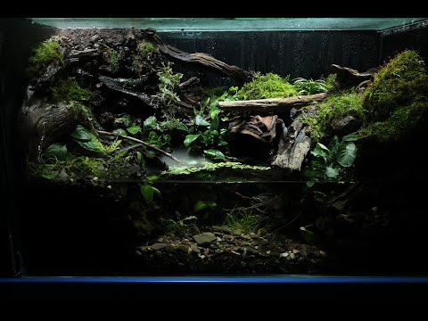 방송에 나왔던 팔루다리움 제작영상 | Paludarium production video that appeared on TV | 뱀파이어크랩 팔루다리움 60*30*30