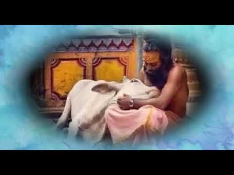 The apparent "other" is Myself.........Rupert Spira