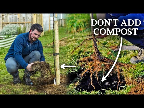 How to Plant a Bare-Root Fruit Tree | Zero Fertility Method
