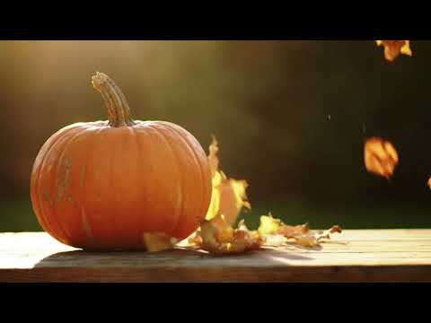 Relaxing Autumn Scene with Pumpkins & Falling Leaves | Slow Motion Loop | No Music