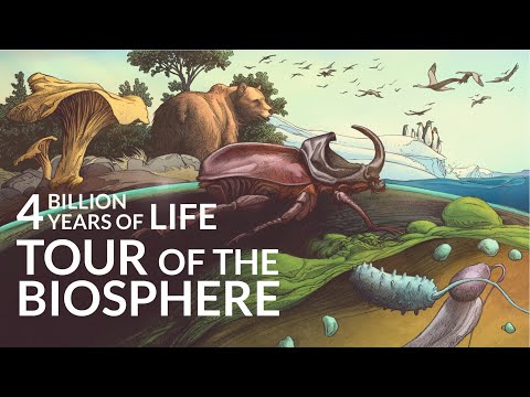 What Is The Other 99.99% Of Life?