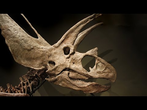 The Giant Horned Dinosaur Titanoceratops ouranos, or, How to Hide a Dinosaur in Plain Sight