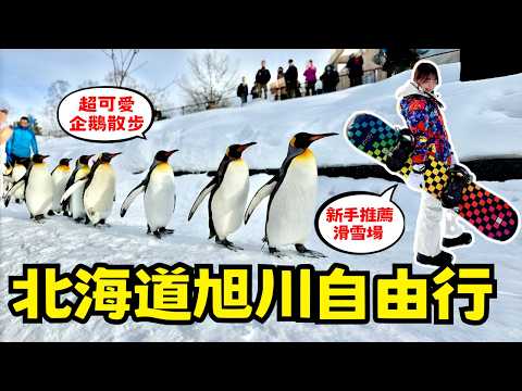 北海道自由行🇯🇵旭川3天2夜｜一藏拉麵、旭山動物園企鵝散步、新手推薦滑雪場、日本夜景遺產🌙 冬天服裝建議｜聖誕禮物公園滑雪場｜日本有個U1