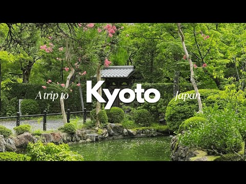 Exploring Kyoto 🌿 delicious food, peaceful temple & matcha paradise | Japan vlog
