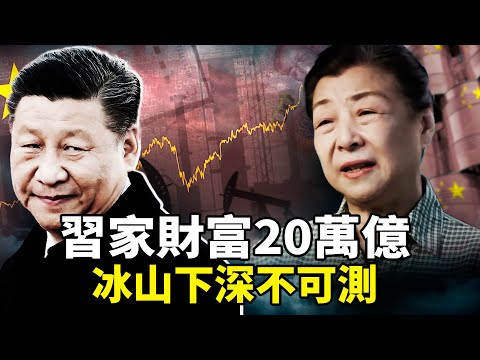 习近平家族财富惊人，商业版图遍布全球！习近平姐姐齐桥桥垄断低价石油，一年狂敛4000亿，石油+稀土+房产净资产高达20万亿，反腐十年只抓别人？2026海外爆料全解析