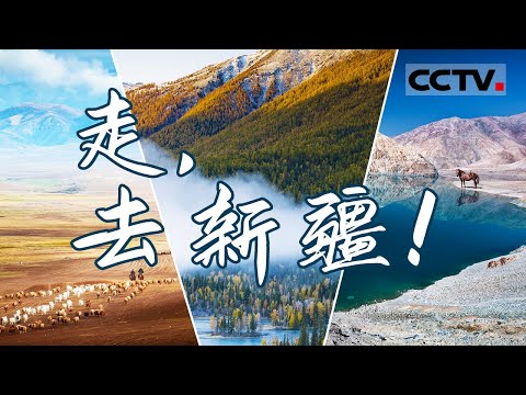 新疆：此生必打卡旅游地？玩一遍新疆约等于玩遍全世界？这里春夏秋冬都美得不像话！【CCTV纪录】
