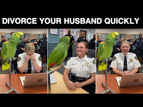 “ 🦜Hi Officer, Then Says: Divorce Your Husband — I Don’t Want a Third Person Between Us 😂