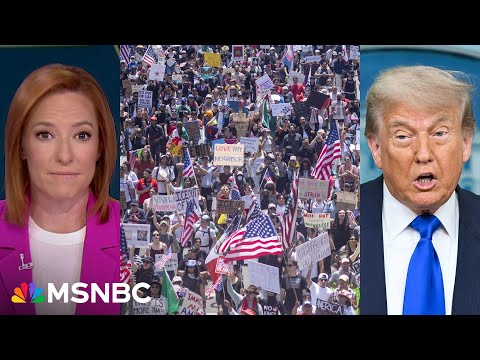 The protests were practice: Americans are prepared for Supreme Court's obstacles to opposing Trump