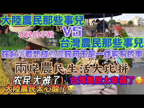 大陸農民對比台灣農民，在台灣想要成為農民可不是一件容易的事兒，兩岸農民生活大比拼，大陸農民太心酸了，台灣農民太幸福了……