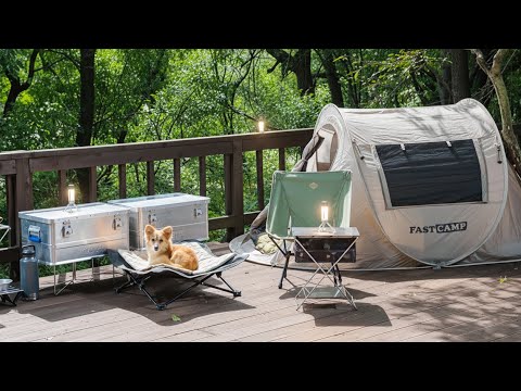 Solo Camping with My Dog using $40 Pop-up Tent | Organized Camping (ASMR)