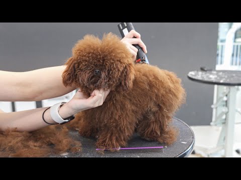 I didn't know this was a hair salon until now.