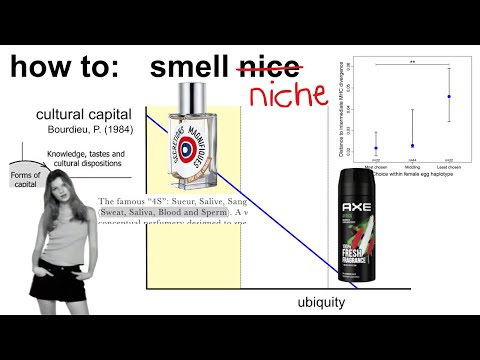 the Modern Perfume Paradox and the Scent of Attraction