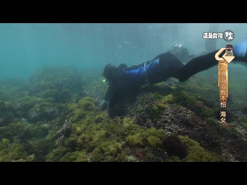 《這是台灣款》EP18｜百年傳統 台灣海女螢幕現蹤