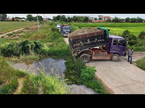 Be Watchful Started Landfill New Project!Truck 5TPouring Delete Field,Expert Dozer D31 Pushing Stone