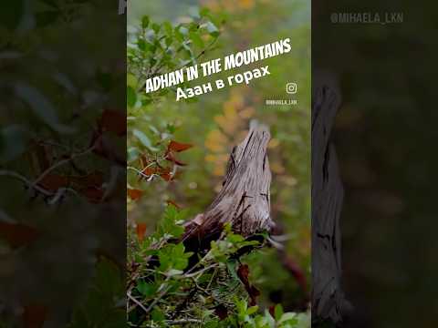 🇹🇷Азан в Горах | Adhan in the mountains