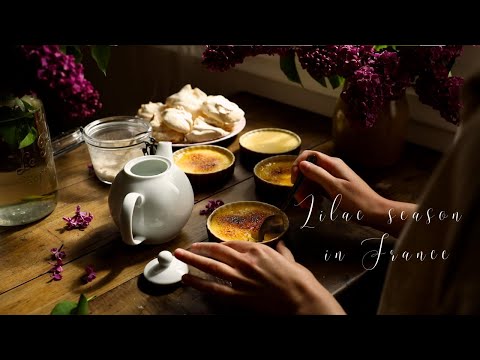 Lilac season In France, slow life in the country, foraging and cooking with flowers, gardening 🪻🌿