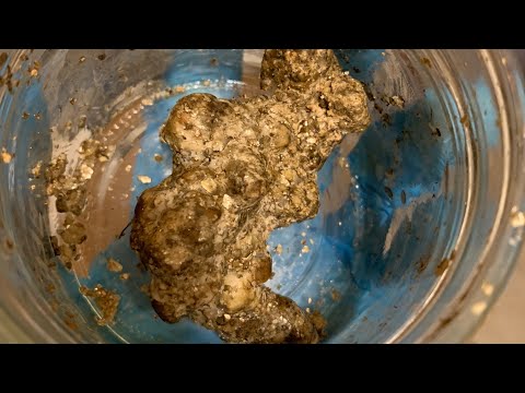 🍄 All About Truffles: THE Easiest Way to Grow Edible Mushrooms 🍄