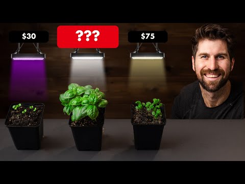 $30 vs $300 Grow Light: WATCH THIS Before Buying A Grow Light!