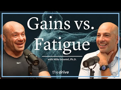 Training Intensity & Volume to Balance Gains and Fatigue | Mike Israetel