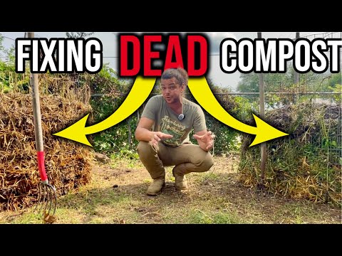 The 5 Biggest Hot Compost Mistakes (And Easy Fixes