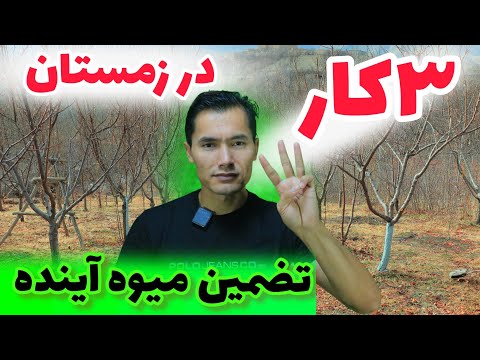 فقط با سه کار ساده در زمستان💥میوه سال آینده درختت چندبرابر میشود! همین حالا اقدام کن