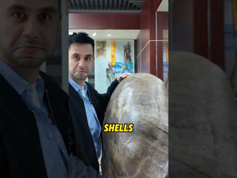 The Awesome Science Behind Traditional Chinese Medicine 🇨🇳