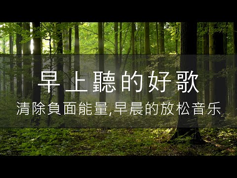 Morning Relaxing Music - Positive Piano Music for Stress Relief -Birds Singing Stress Relief