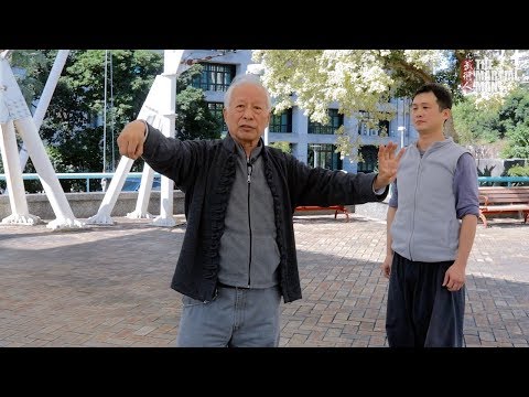 Chen Style Taiji Quan Applications | Master Adam Hsu