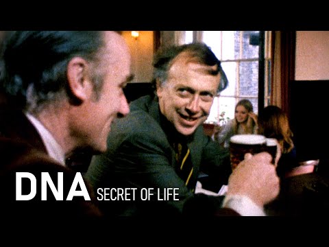 DNA ~ The Secret of Life (Episode 1)